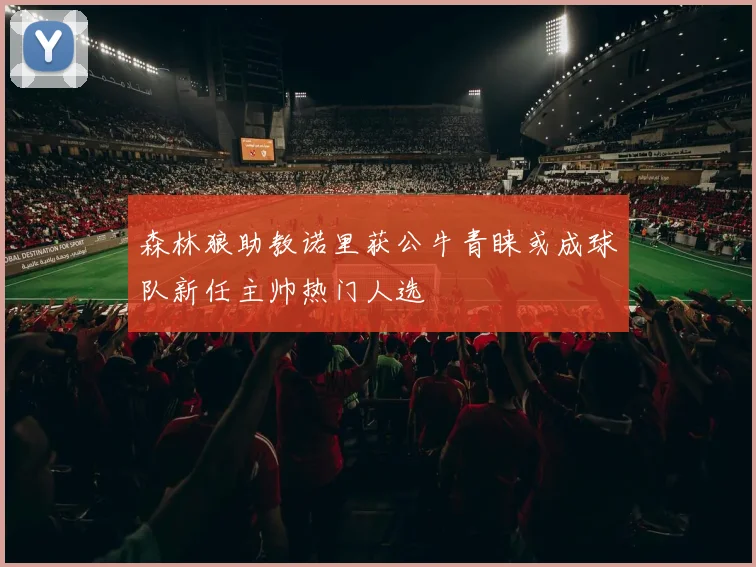 森林狼助教诺里获公牛青睐或成球队新任主帅热门人选